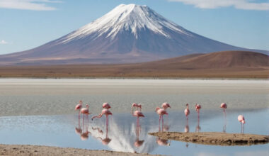 Bolivia Joins Thailand, Cameroon, El Salvador, United Kingdom, France, Bahrain And More As Australia Issues New Travel Advisory Amid Heightened Political Instability