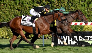 Connections Mull Breeders' Cup Options for Aqueduct Stakes Winners