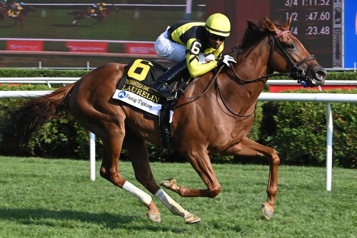 British 2-year-olds highlight weekend action in N. American turf racing