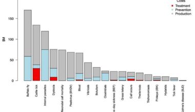Weekly genetics review: Why do some cattle cope better than others with buffalo fly?