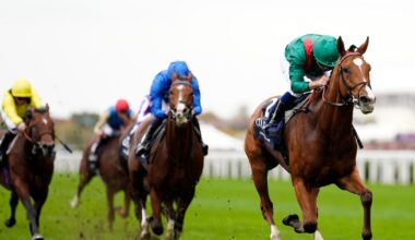 Calandagan claims Champion Stakes crown in style at Ascot – The Irish Times