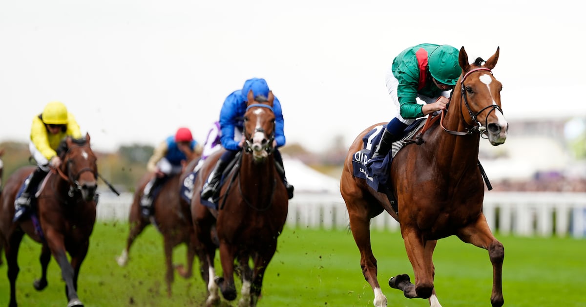 Calandagan claims Champion Stakes crown in style at Ascot – The Irish Times