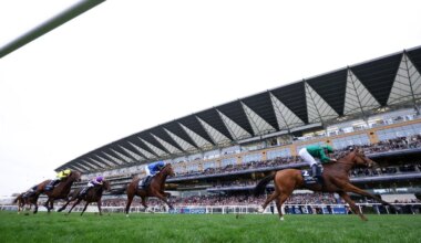 Calandagan rated behind only Ka Ying Rising after Champion Stakes victory — Sports News Blitz