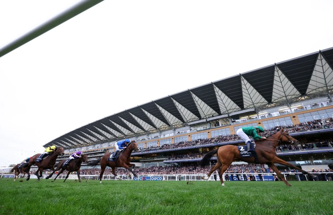 Calandagan rated behind only Ka Ying Rising after Champion Stakes victory — Sports News Blitz