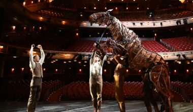 War Horse - on now at Edinburgh Festival Theatre