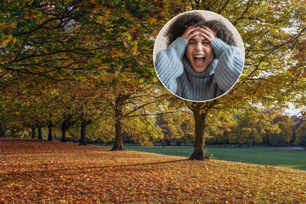 An autumnal image of Hyde Park in London with a small image of a woman screaming overlayed