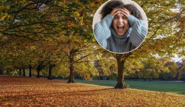 A 'Scream Squad' Has Recently Launched In London