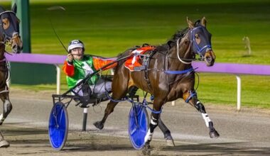 Gloucester Park Harness Racing