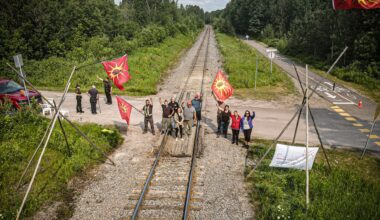Quebec’s disastrous forest reform bill was killed, but the threat remains | Environment