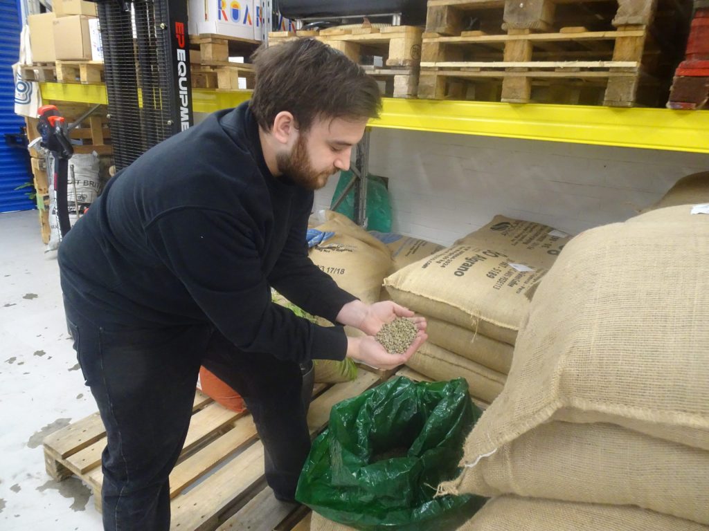 A man kneels next to a bag of coffee with some 'green beans' in his hands