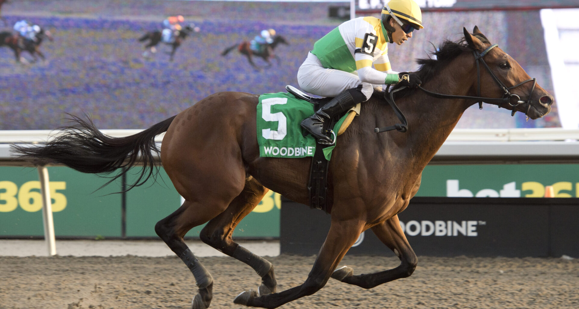 Borealis Trail blazes to victory in Grade 3 Ontario Derby