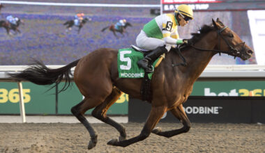 Borealis Trail blazes to victory in Grade 3 Ontario Derby