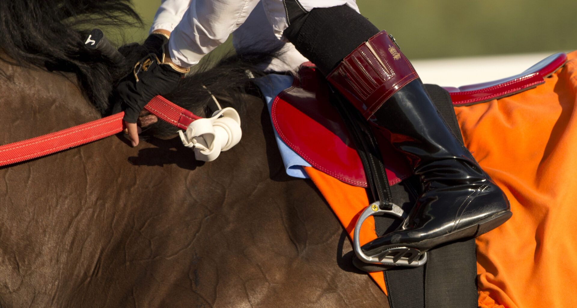 INSIDE THE NUMBERS: Betting the Maryland Million