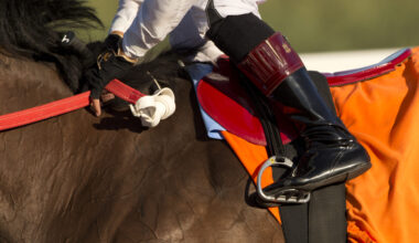 INSIDE THE NUMBERS: Betting the Maryland Million