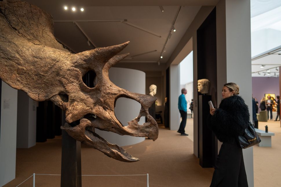 Close-up of a large Triceratops skull fossil on display at Frieze Masters, with visitors observing ancient artifacts in the softly lit booth behind.