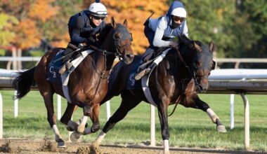 Sierra Leone Breezes for Breeders' Cup Classic
