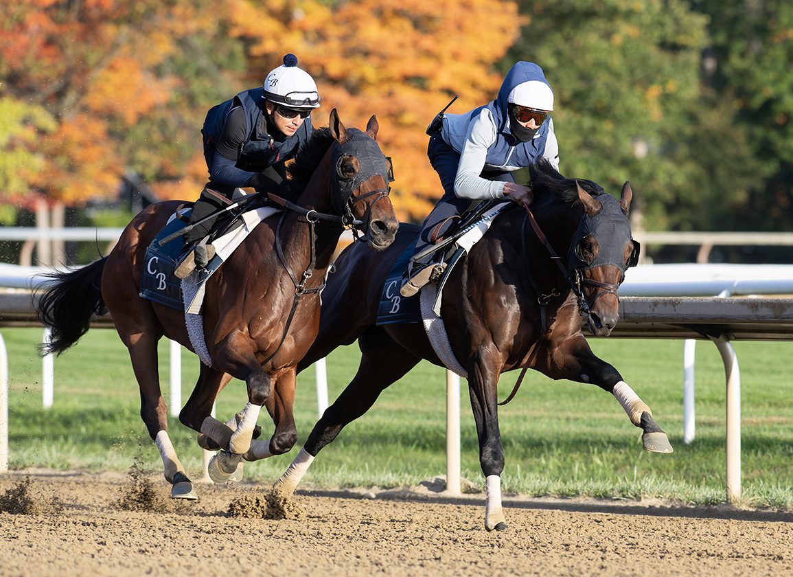 Sierra Leone Breezes for Breeders' Cup Classic