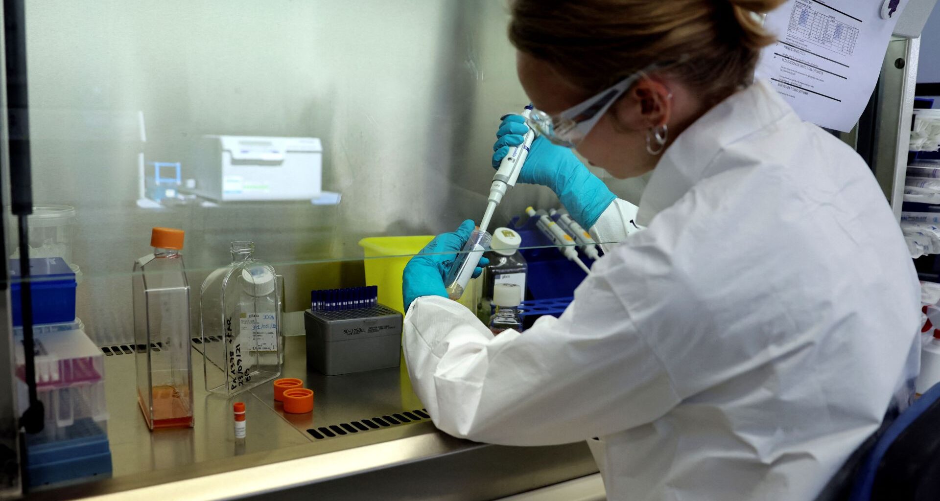 A lab technician works on a research process to find new CAR-T cells and RNA in the laboratory of French biopharmaceutical company Cellectis in Paris on September 23, 2021. - The human immune system has T lymphocytes to protect itself, which identify and destroy foreign cells. Cellectis develops CAR-T cells, or &quot;chimeric antigen receptor T cells&quot;, a genetically engineered T cell for use in immunotherapy. The principle of the new and innovative class of therapy is to retrain the immune system to target a specific disease, such as cancer cells. Cellectis manufactures the RNA molecules in the Paris laboratory, which are then sent to a production site in the USA. After many more operations the RNA is turned into molecular scissors capable of cutting a fragment of DNA in T cells. (Photo by THOMAS COEX / AFP) (Photo by THOMAS COEX/AFP via Getty Images)