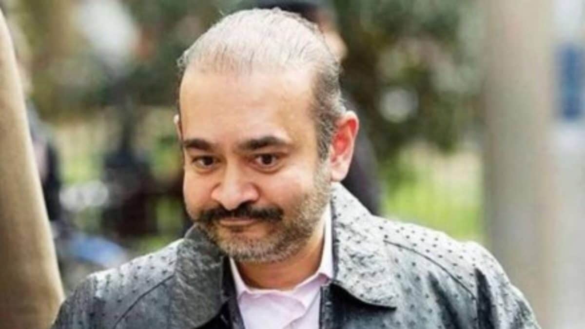 ‘Sensational Developments To Come’: Nirav Modi Says In London Court Over Extradition Case | World News