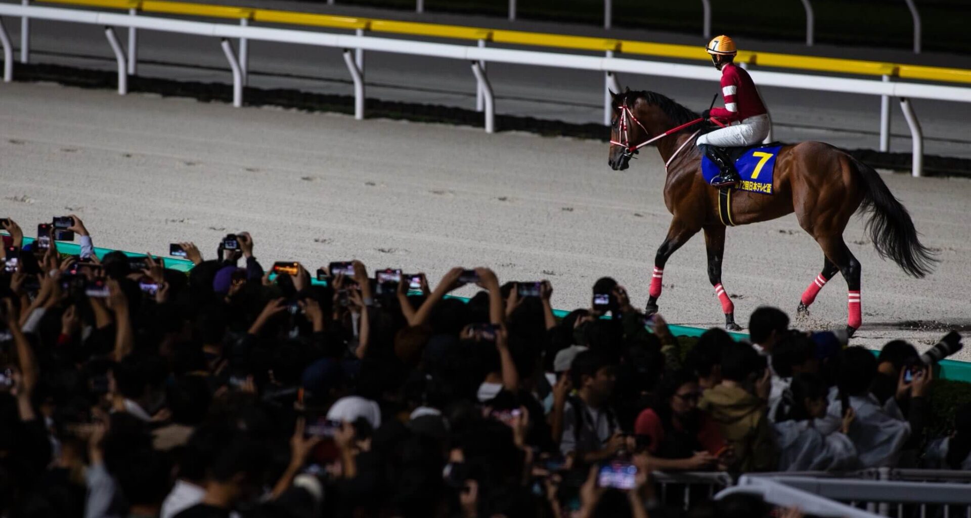 Forever Young fans flock to Funabashi for Breeders' Cup prep