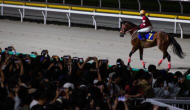 Forever Young fans flock to Funabashi for Breeders' Cup prep