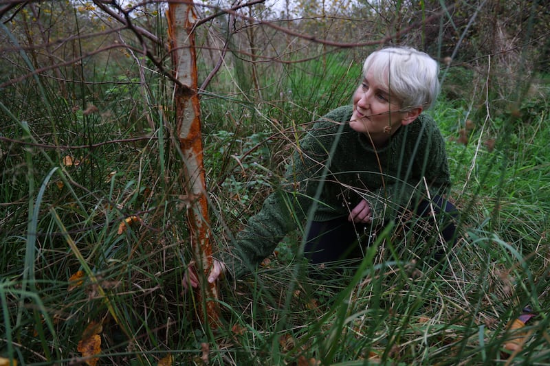 Catherine Cleary in the forest that she and her family are growing in rural Roscommon. Photograph: Bryan O’Brien