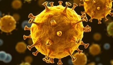 Genetic Control of Exosome Formation Linked to Obesity