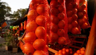 UK-EU reset leaves sour taste for South African citrus exporters – POLITICO