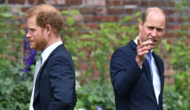 Prince William Makes Rare Comment About Brother Prince Harry 