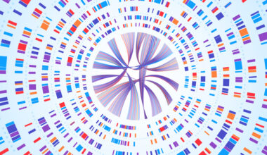 genetic map