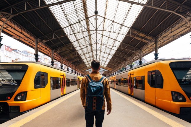 Rear view of a man with backpack walking between train on train station