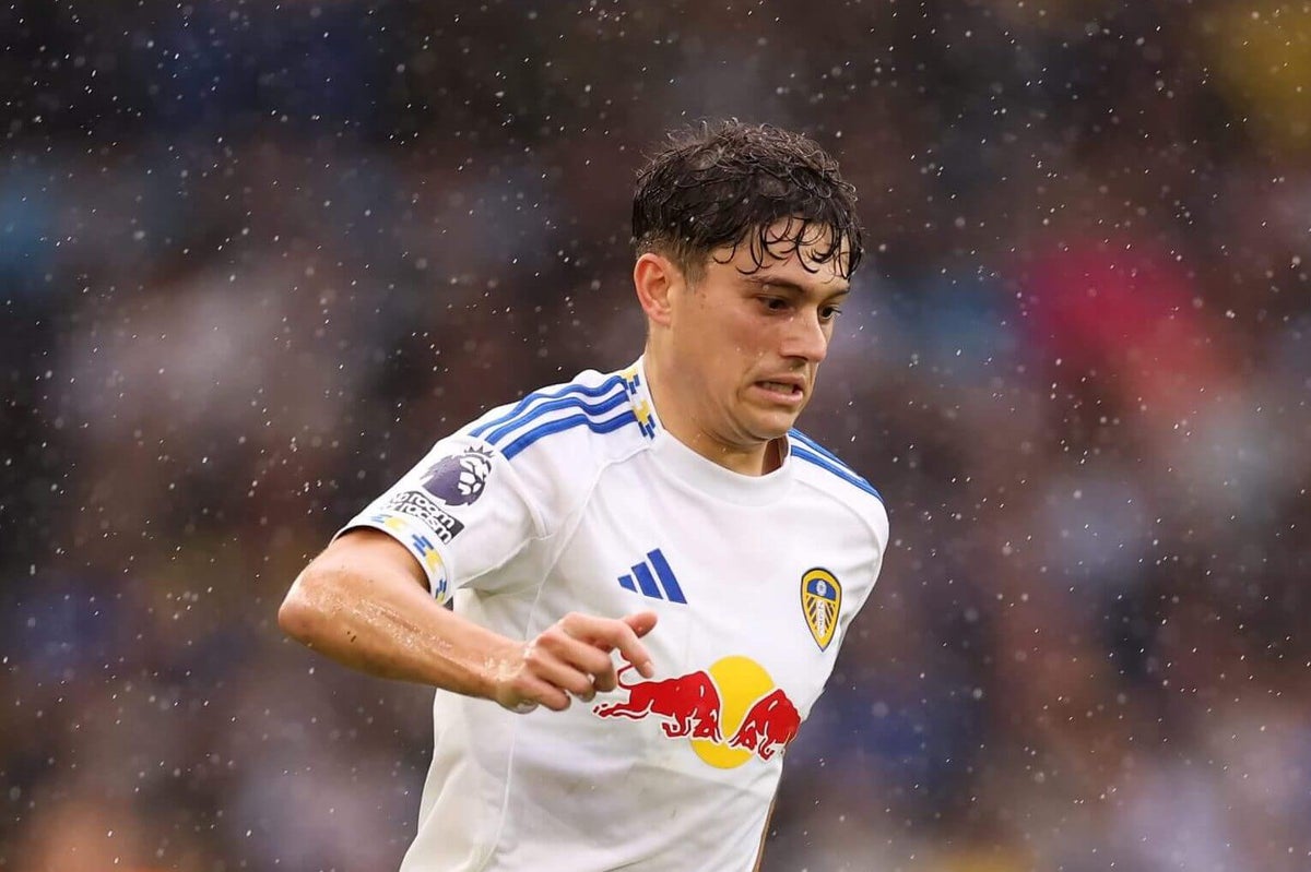 Leeds winger Dan James out for up to six weeks with ankle injury, Daniel Farke confirms