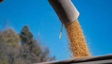 US farmers are struggling to sell soybeans. Here’s how to think about the trade war.