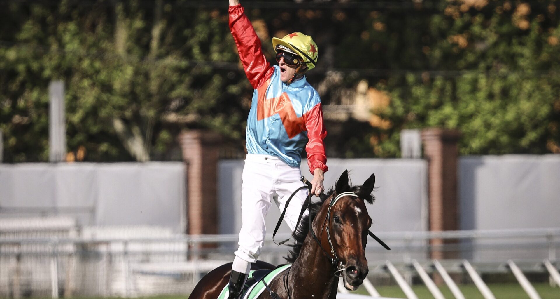 Ka Ying Rising’s win highlights The Everest’s cross-cultural reach