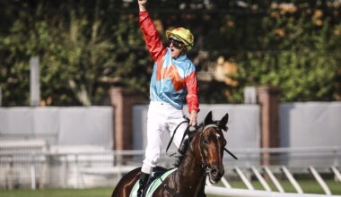 Ka Ying Rising’s win highlights The Everest’s cross-cultural reach