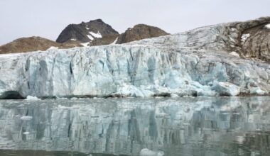 The Ocean Is a Carbon Toilet. Marine Heat Waves Are Clogging It.