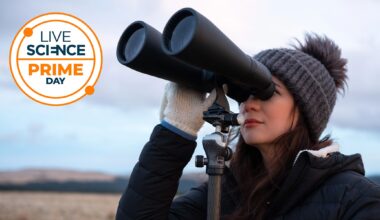 Last chance to see Jupiter's moons for less! Our favorite astronomy binoculars are only $75 for Prime Day in October