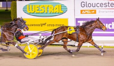 Gloucester Park Harness Racing