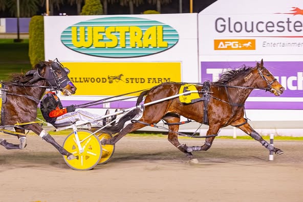 Gloucester Park Harness Racing