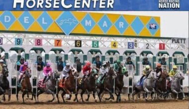 Top 5 contenders for 2025 Breeders’ Cup dirt races