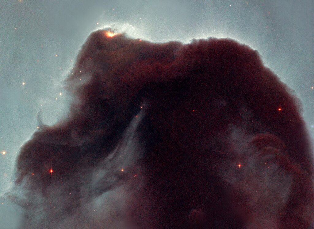 Cosmic dust in the Horsehead Nebula