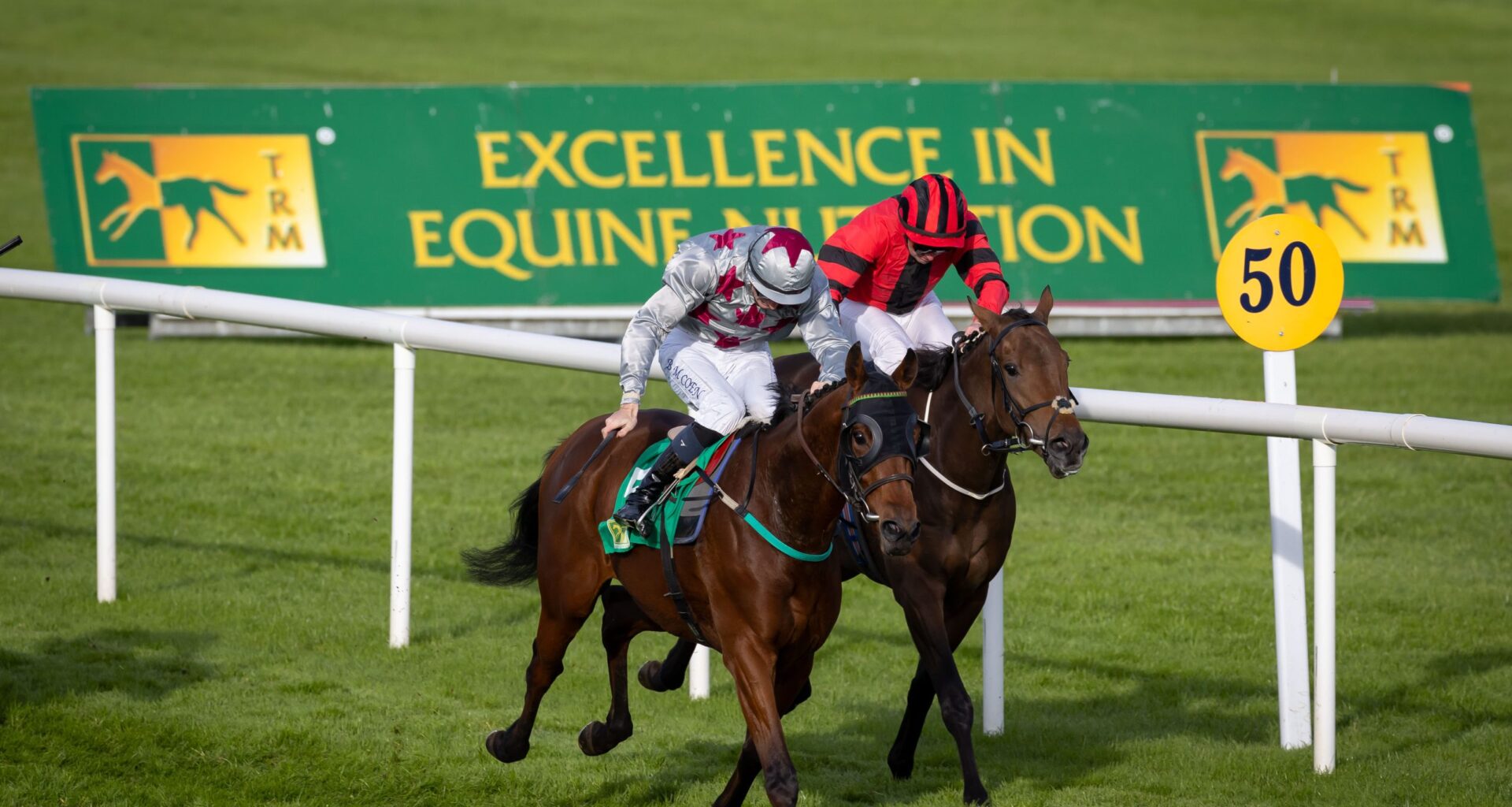 Voting Now Open for TRM Training Performance and TRM Ride of the Season at Naas