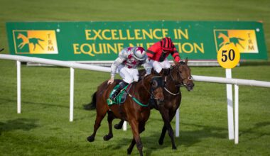 Voting Now Open for TRM Training Performance and TRM Ride of the Season at Naas