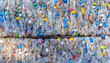 Video: Science fiction–style 4D ultrasound breakthrough reveals full organ blood flow