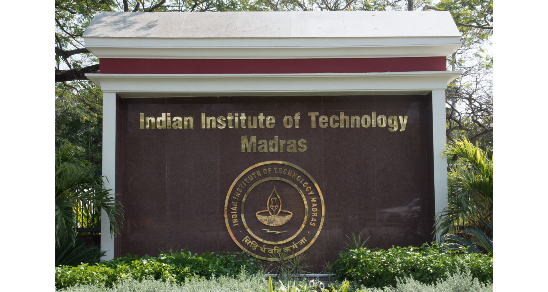 1 Ranked Institute, IIT Madras & Danish University Study reveals Genetic 'Switches' that can transform Disease Research