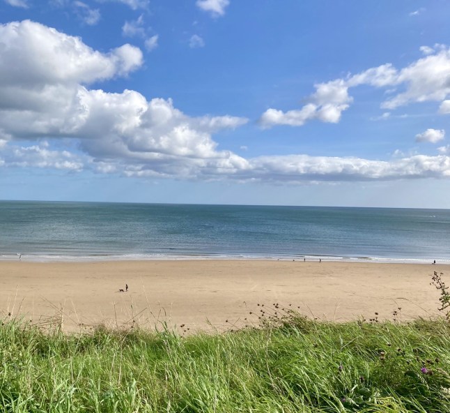 A sunny bright beach in Sunderland, England with grass in the centre foreground