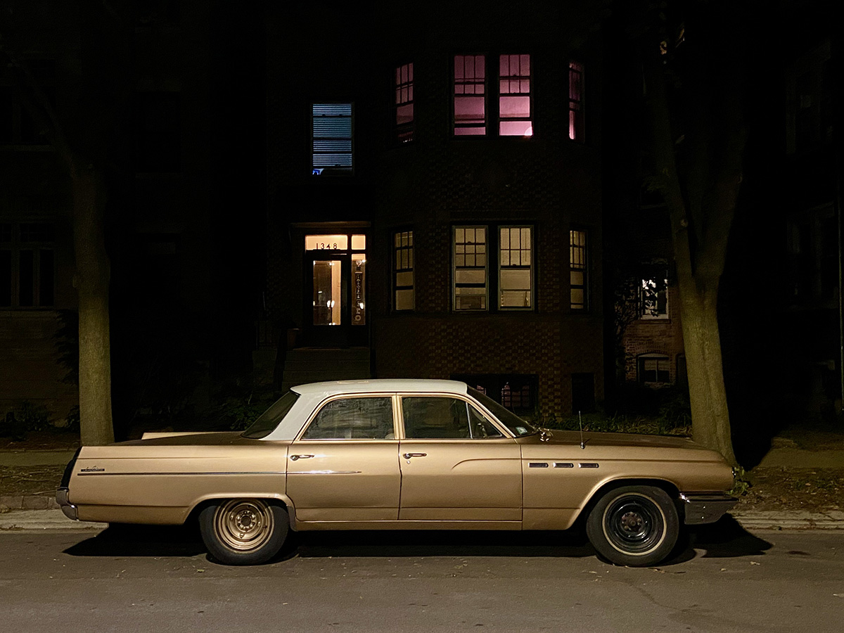 Even in darkness, life finds a way