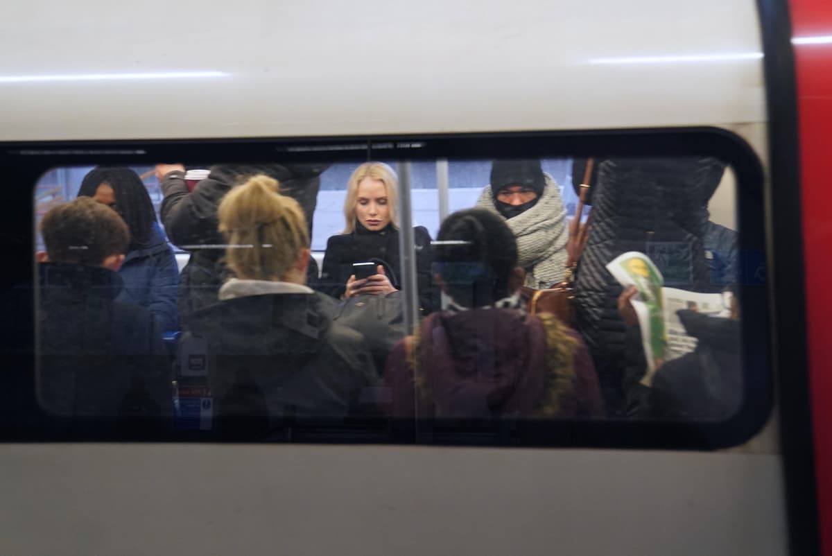 'Avoid Northern Line' warning as tree blocks Overground services into Euston - live - London Evening Standard
