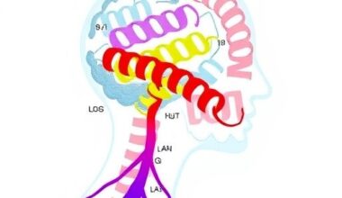 ITSN1 Linked to Parkinson’s: Three New Families Identified