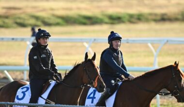 Willie Mullins aiming for landmark Caulfield Cup success with Absurde – The Irish Times